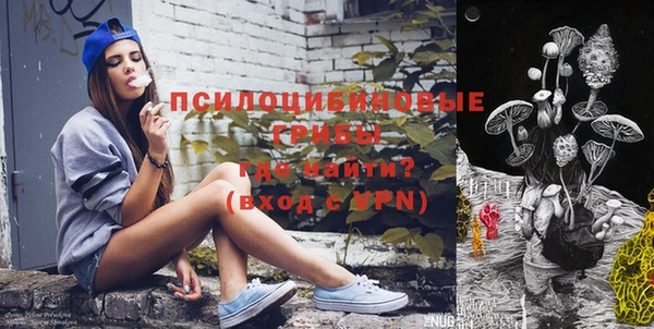 стаф Покачи