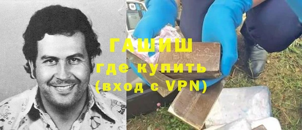 стаф Покачи